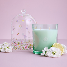 Royal Albert  Velvet Jasmine & Citrus Candle